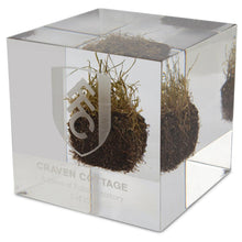 Craven Cottage Turf Limited Edition Cube