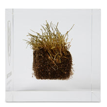 Craven Cottage Turf Limited Edition Cube